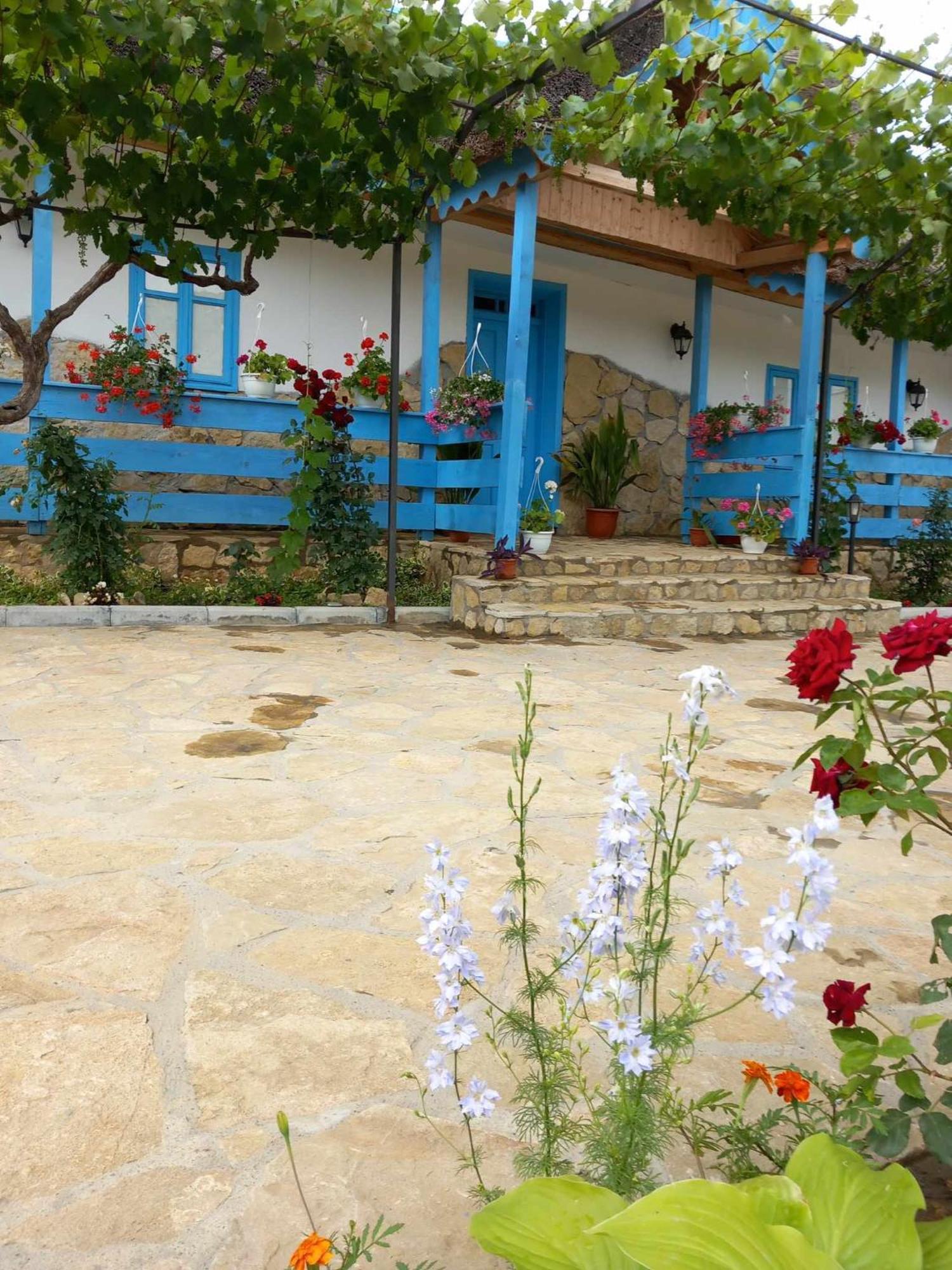 Casa Rasaritul Soarelui Sarichioi Ξενοδοχείο Εξωτερικό φωτογραφία