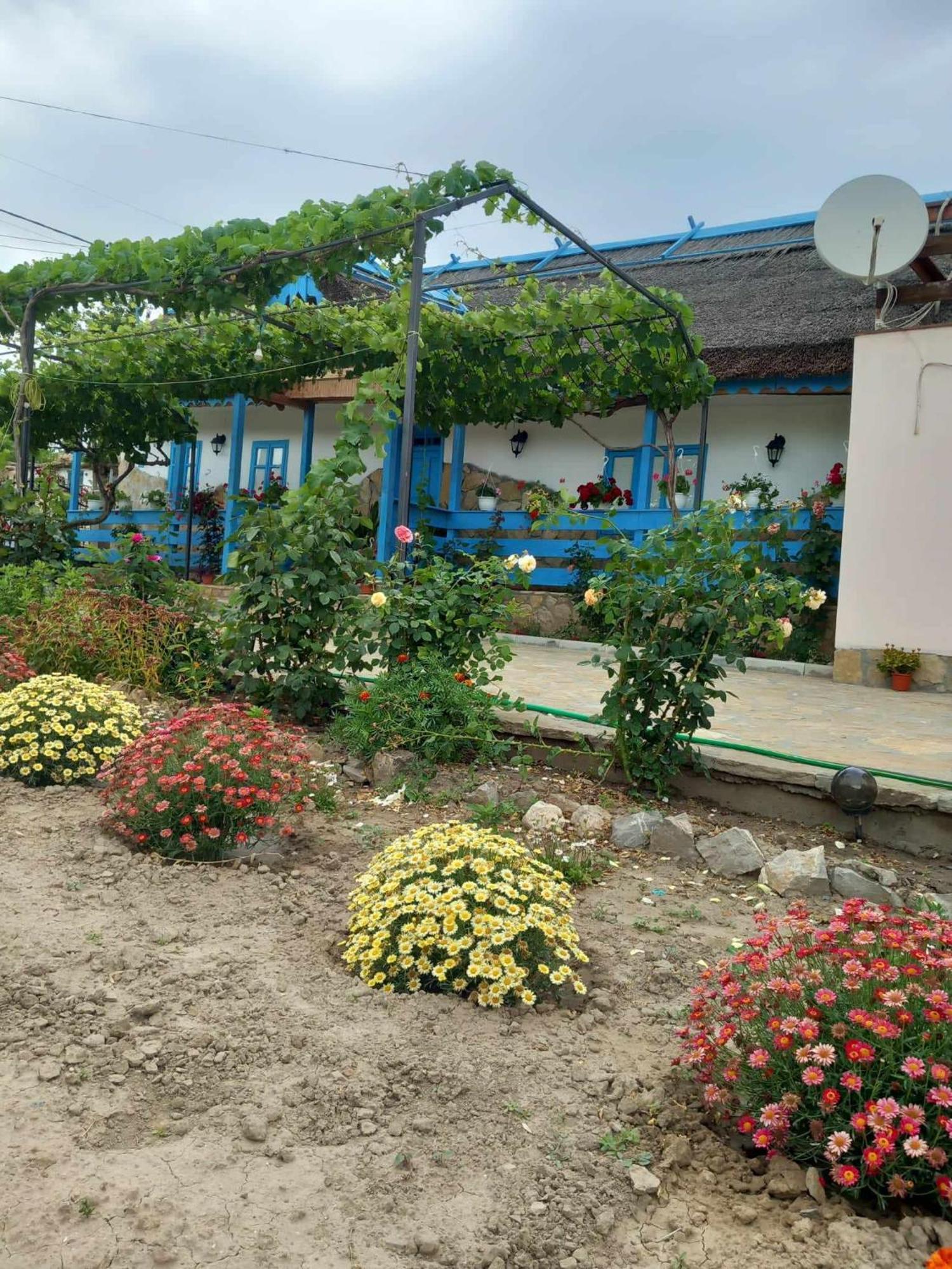 Casa Rasaritul Soarelui Sarichioi Ξενοδοχείο Εξωτερικό φωτογραφία
