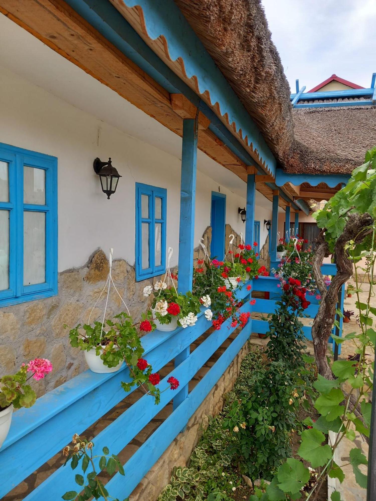 Casa Rasaritul Soarelui Sarichioi Ξενοδοχείο Εξωτερικό φωτογραφία